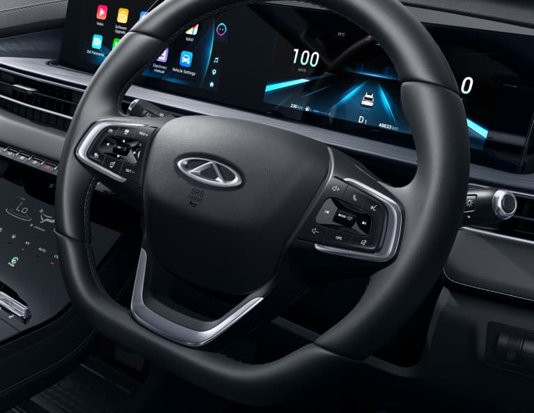 Multifunction Steering Wheel